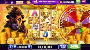 8kg bet