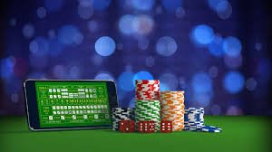 8kg bet